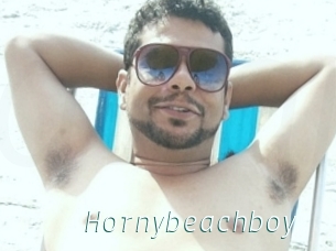 Hornybeachboy