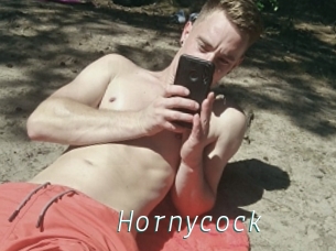 Hornycock