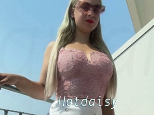 Hotdaisy