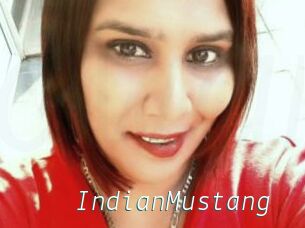 IndianMustang