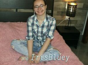 IrisBluey