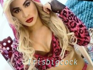 Irisbigcock