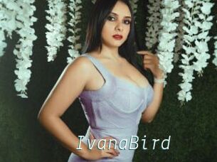 IvanaBird