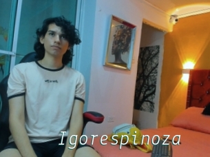 Igorespinoza