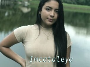 Imcataleya