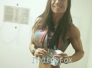 Indigofox