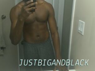 JUSTBIGANDBLACK