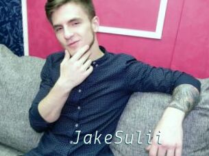 JakeSulii