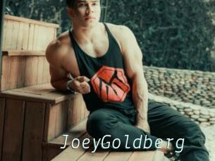 JoeyGoldberg