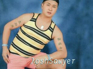 JoshSawyer