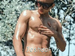 JoshuaFox