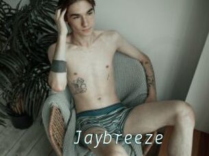 Jaybreeze