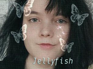 Jellyfish