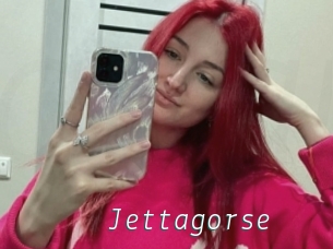 Jettagorse