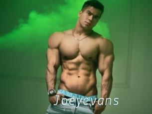 Joeyevans