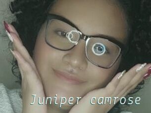 Juniper_camrose