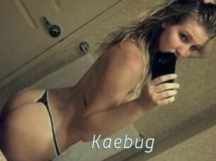 Kaebug