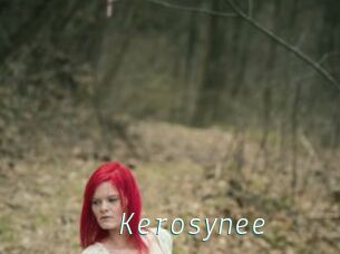 Kerosynee