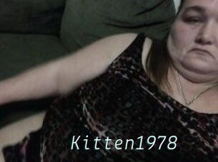 Kitten1978