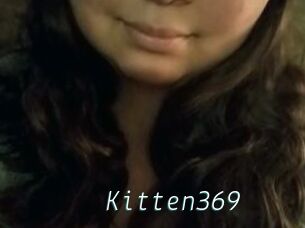 Kitten369