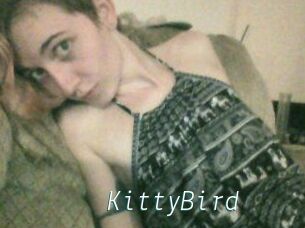 KittyBird