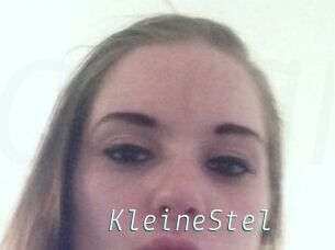 KleineStel