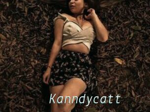 Kanndycatt