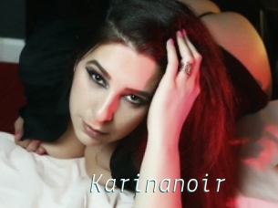 Karinanoir