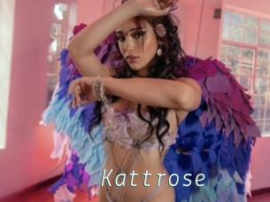 Kattrose