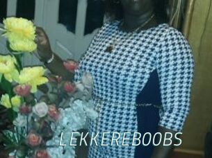 LEKKEREBOOBS