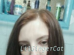 LilGingerCat