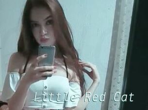 Little_Red_Cat