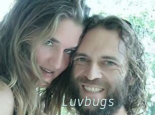 Luvbugs