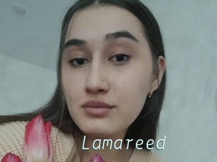 Lamareed