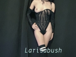 Larisabush