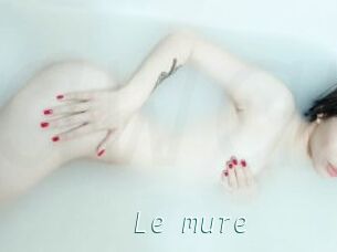 Le_mure