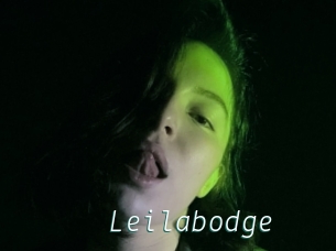 Leilabodge