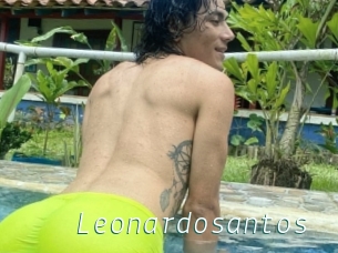 Leonardosantos