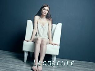 Leonecute