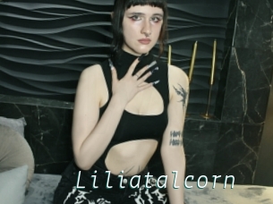 Liliatalcorn