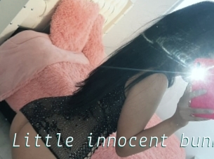 Little_innocent_bunny