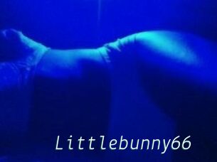 Littlebunny66