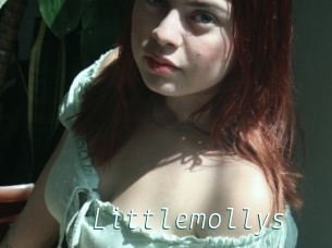 Littlemollys