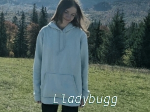 Lladybugg