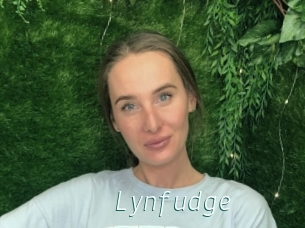 Lynfudge