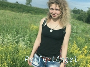 PerfectAngel