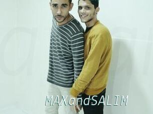 MAXandSALIM