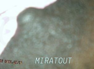 MIRATOUT