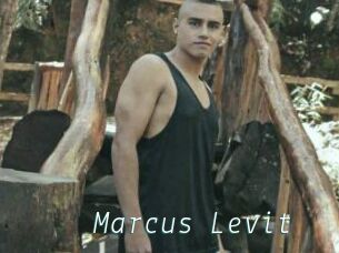 Marcus_Levit