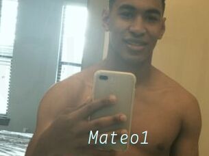 Mateo1